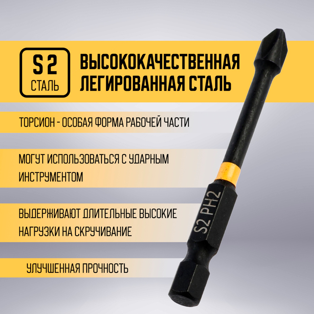 Бита ТУНДРА ПРОФИ, Torsion, сталь S2, PH2 х 65 мм, пластиковый кейс по 10 шт.