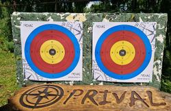 Стрелоулавливатель Prival 100х50х10 см