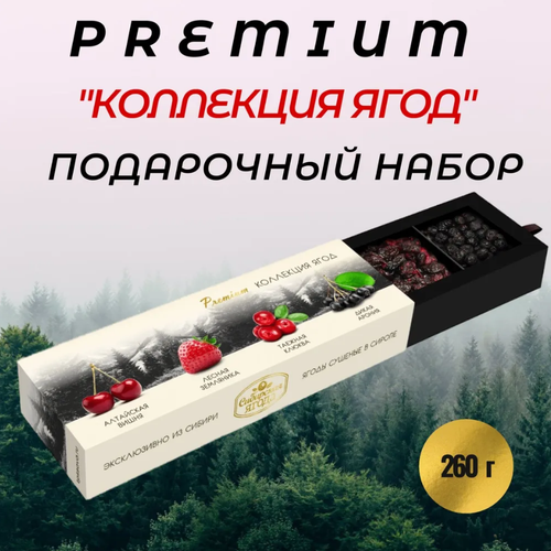 Набор подарочный PREMIUM "Коллекция ягод" (вишня, земляника, клюква, арония), 260 г/ Сибирская ягода