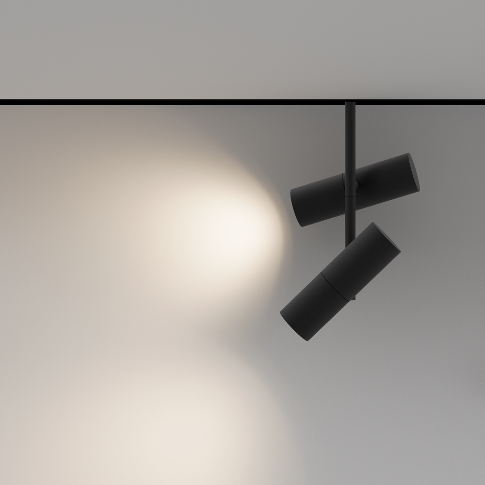 Магнитный трековый светильник Maytoni Elti Duo TR005-4-2X12W-DS-B