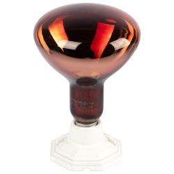 Светильник для инфракрасной лампы ЭРА FITO-Holder-CAP-light 3 м патрон-основание керамический с кабелем и цоколем Е27 | Светильники для растений