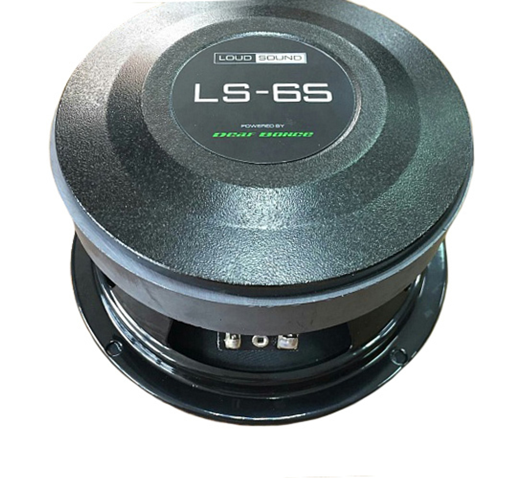 Динамик Loud Sound LS-65 - BUZZ Audio