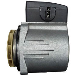 Двигатель насоса тип Grundfos, GPD 15-5S на Protherm Lynx, Ягуар, Леопард 0020119604