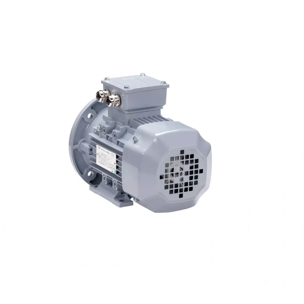 Электродвигатель ESQ PR 355 MА4-SDN-Б1-S12-IE3 250/1500 IMB35