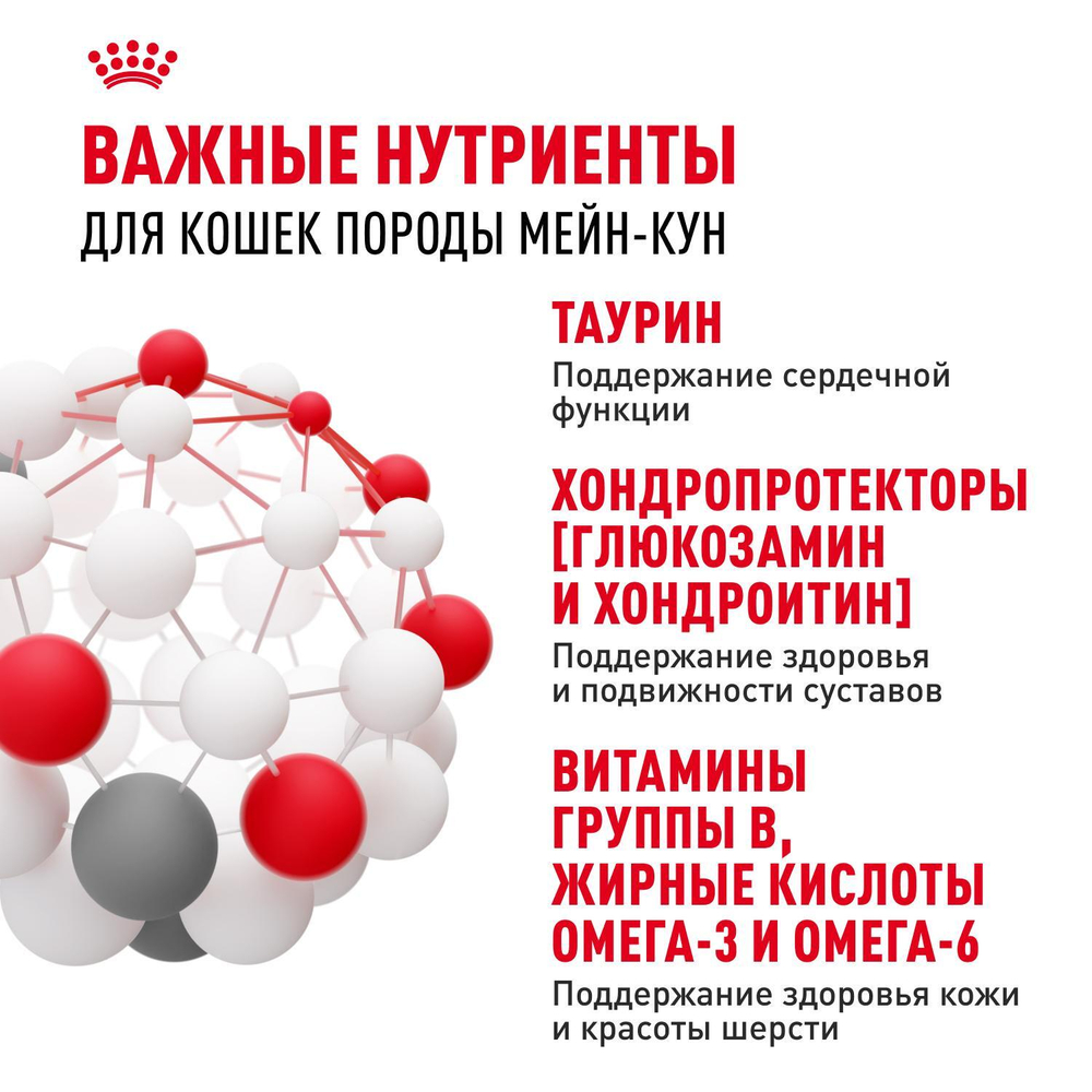 Royal Canin Maine Coon Adult Корм консервированный для взрослых кошек породы Мэйн Кун соус 85г