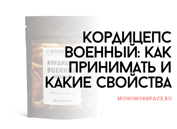 Кордицепс военный: как принимать и какие свойства