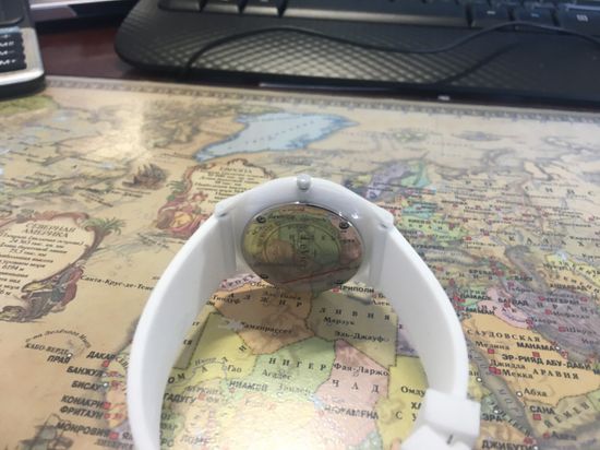 Французские наручные часы унисекс LeVier L 7502 M Wh вид сзади