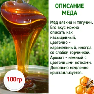 Пробник Дягилевого меда / 100 гр