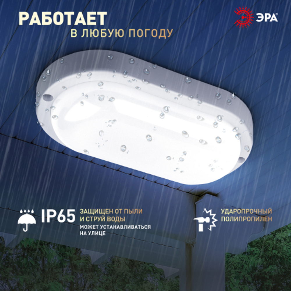 Светильник ЖКХ светодиодный ЭРА SPB-202-0-65K-012 IP65 12Вт 6500К 195x95 овал