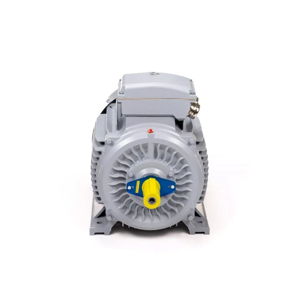 Электродвигатель ESQ PR 315 M2-SDN-Б1-S12-IE2 132/3000 IMB3