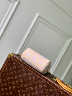 Louis Vuitton Nano Speedy