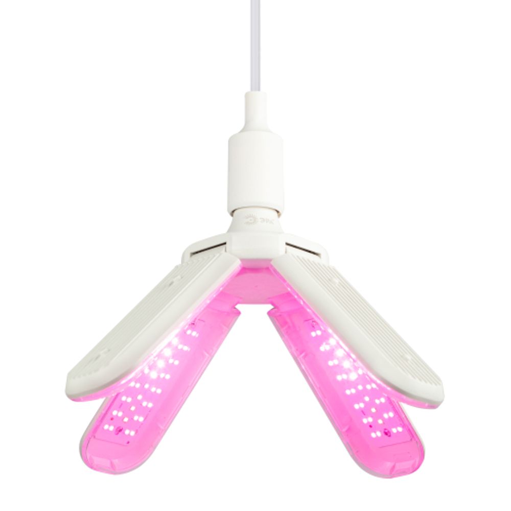 Фитолампа для растений светодиодная ЭРА GREEN LINE ФИТО-40W-PL-E27-GR 4-х лепестковая красно-синего спектра 40 Вт Е27 | Фитолампы Е27