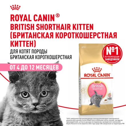 Royal Canin British Shorthair Kitten (БРИТАНСКАЯ КОРОТКОШЕРСТНАЯ КИТТЕН) Корм сухой сбалансированный для британских котят 400г