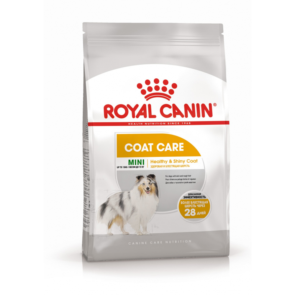 Royal Canin Mini Coat Care Корм сухой для взрослых собак мелких размеров 3кг
