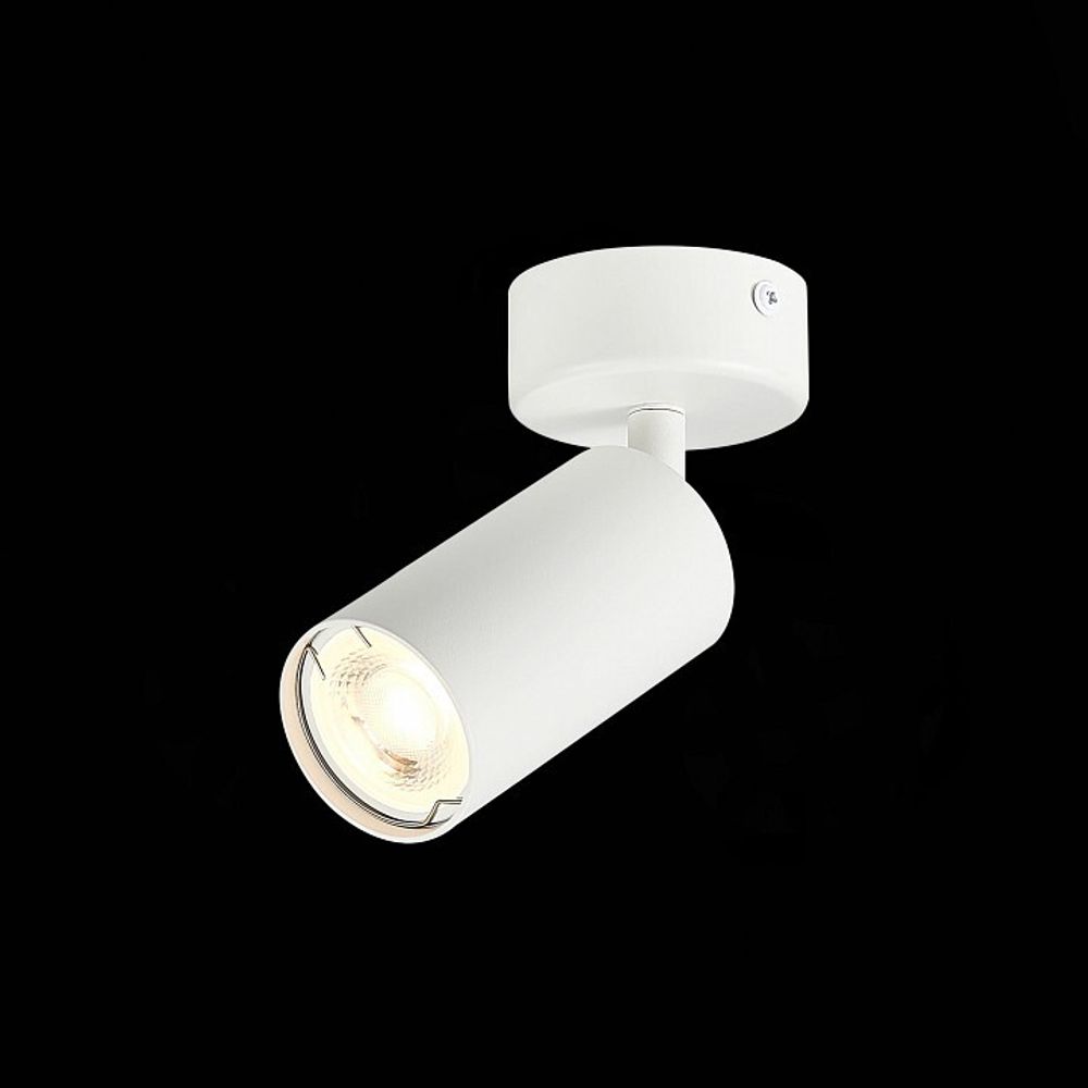 Спот ST-Luce Dario ST303.502.01