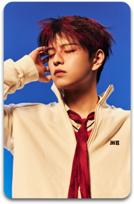 Карта / STRAY KIDS #4235