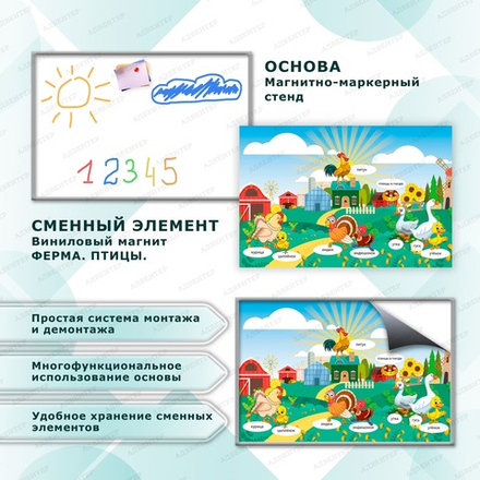 Комплект развивающий ФЕРМА. ПТИЦЫ. 2147