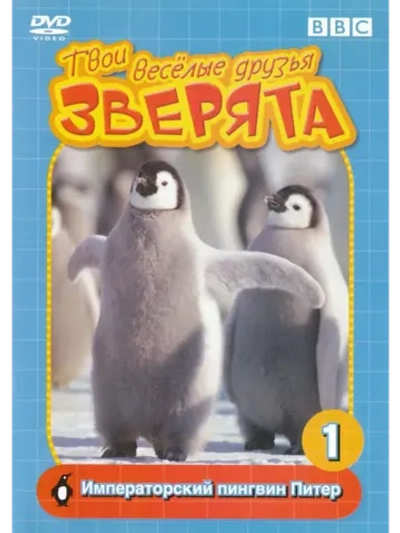 BBC: Императорский пингвин Питер (DVD-R)
