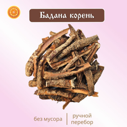 Бадан корень.