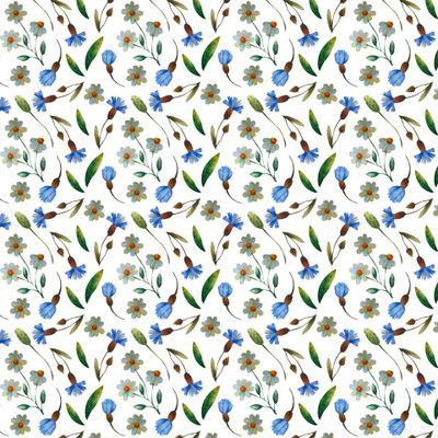 Акварельные полевые цветы на белом