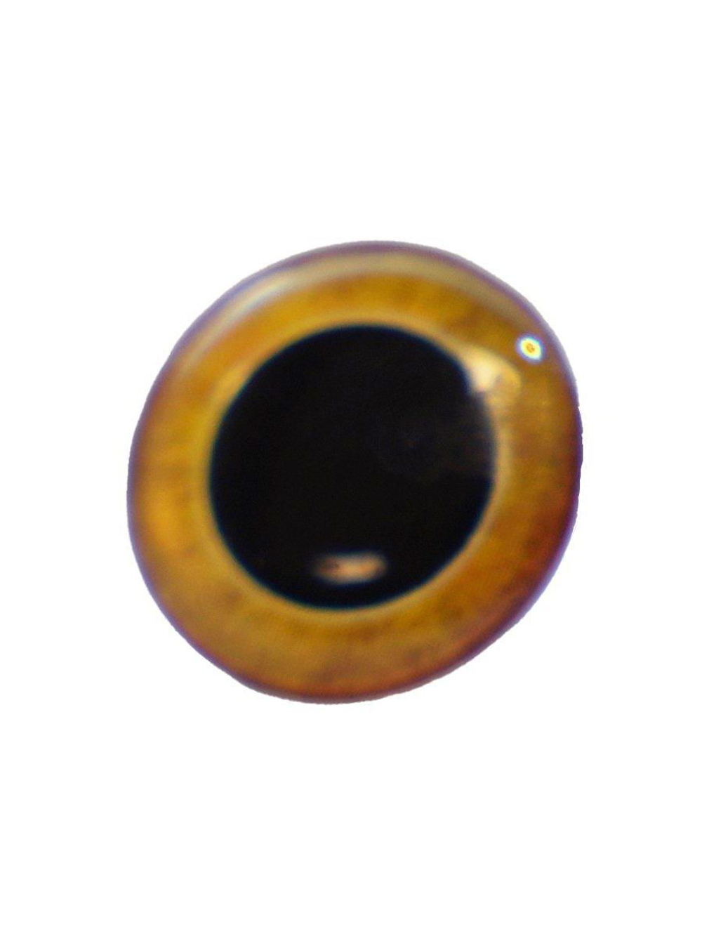 Глаза для приманки Abu Garcia Beast Screw-In Eyes, 12 шт