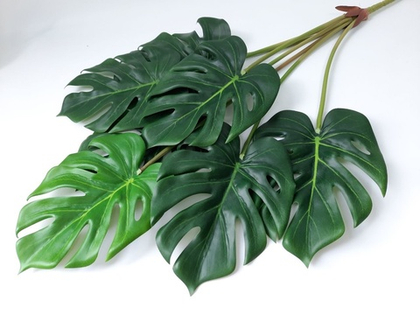 Монстера 7 листьев / Арт 6014