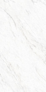 LAZIO BIANCO GI8009-B