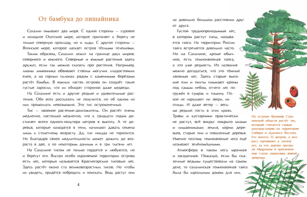 Сахалин. Самый большой остров в России