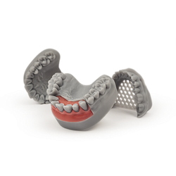 Dental Model Light Grey