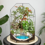 Готовый флорариум бонсай Клён Бонсариум XL с озером