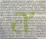Василек Вайт Бол 0,5 г СМЦ-276