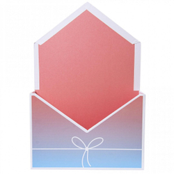 Конверт картон 20*7*30