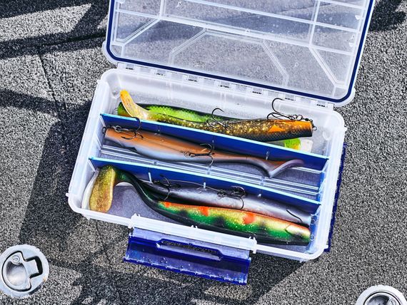 Виброхвосты LJ 3D BBS Series KUBIRA SWIM SHAD 9,0in (22,86)/PG27 1шт.