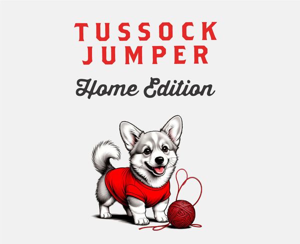 Tussock Jumper Home Edition: теперь по-настоящему «домашний»