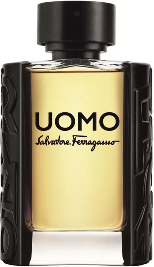 Salvatore Ferragamo Uomo Eau de Toilette 100 ml