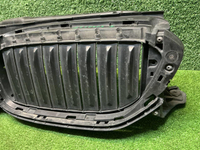 Решетка радиатора BMW 5er G30 (2017-2020)