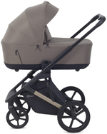 Детская коляска Rant Garda 3 в 1 с автокреслом Evomax Grey Mocca
