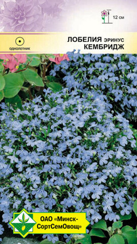 Лобелия эринус "Кембридж" 0.05г, Германия.