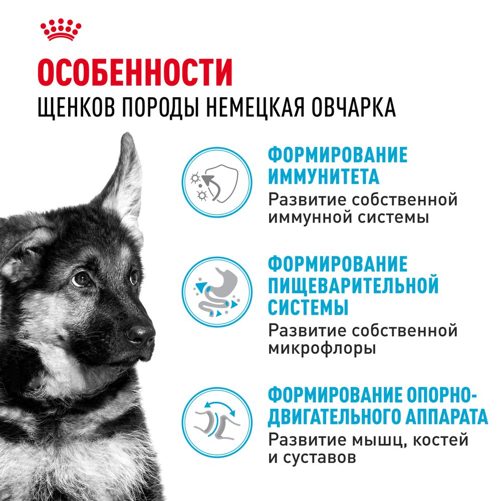Сухой корм Royal Canin German Shepherd Puppy для щенков породы Немецкая овчарка до 15 месяцев