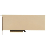 Видеокарта nVidia Tesla A10 (900-2G133-0020-000)