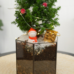 Готовый новогодний флорариум в призме