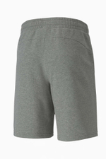 Шорты Puma teamGOAL 23 Casuals