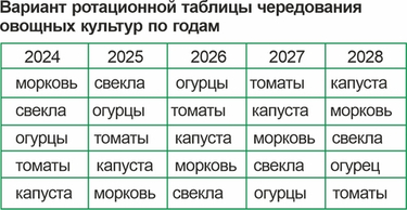 Севооборот на 5 лет вперёд: как спланировать, чтобы почва в Сибири не уставала