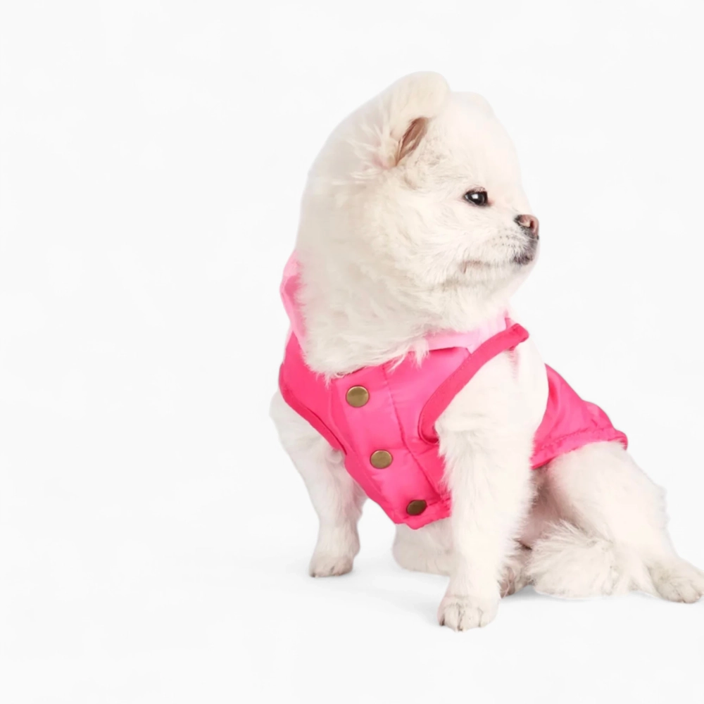 Жилет «Colour»