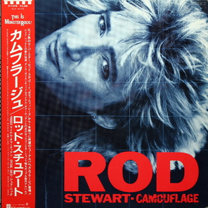 Rod Stewart / Camouflage (LP)