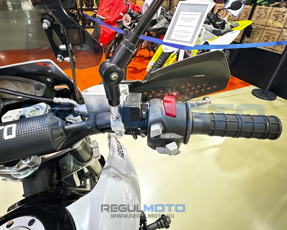 Мотоцикл Regulmoto TE PRO NB300 с ПТС