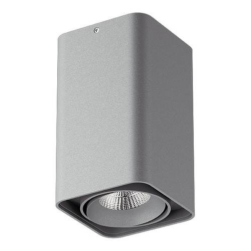 052139-IP65 Светильник MONOCCO LED10W 600LM 30G СЕРЫЙ 4000K