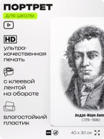 Портрет для школы в кабинет физики "Ампер Андре-Мари", стенд школьный для класса, деятели науки для оформления классного уголка, 40х30 см, Silver Plane x Айдентика Технолоджи