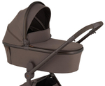 Детская коляска Anex Flo x Avionaut Cosmo 3 в 1 без адаптеров Browny/ss-06 Black