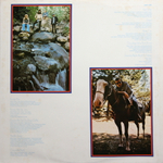 Elton John / Greatest Hits (LP)